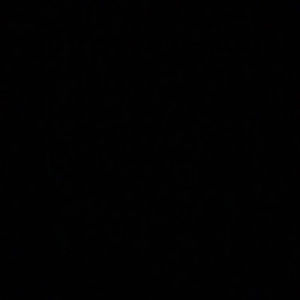 Meet your Posher, Addie